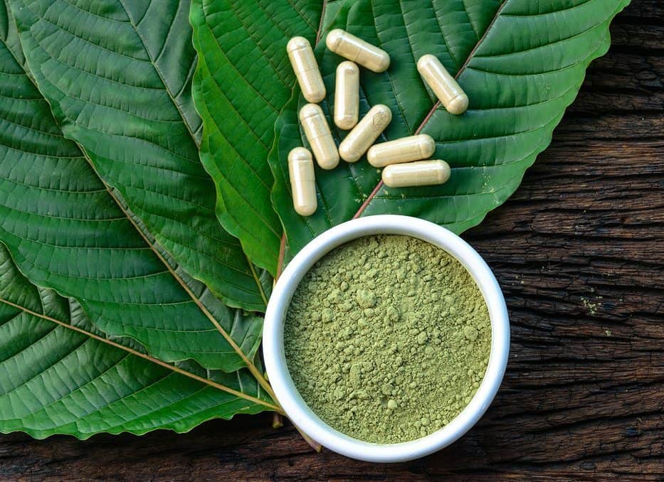 5 FAKTA TENTANG KRATOM 5 FAKTA TENTANG KRATOM